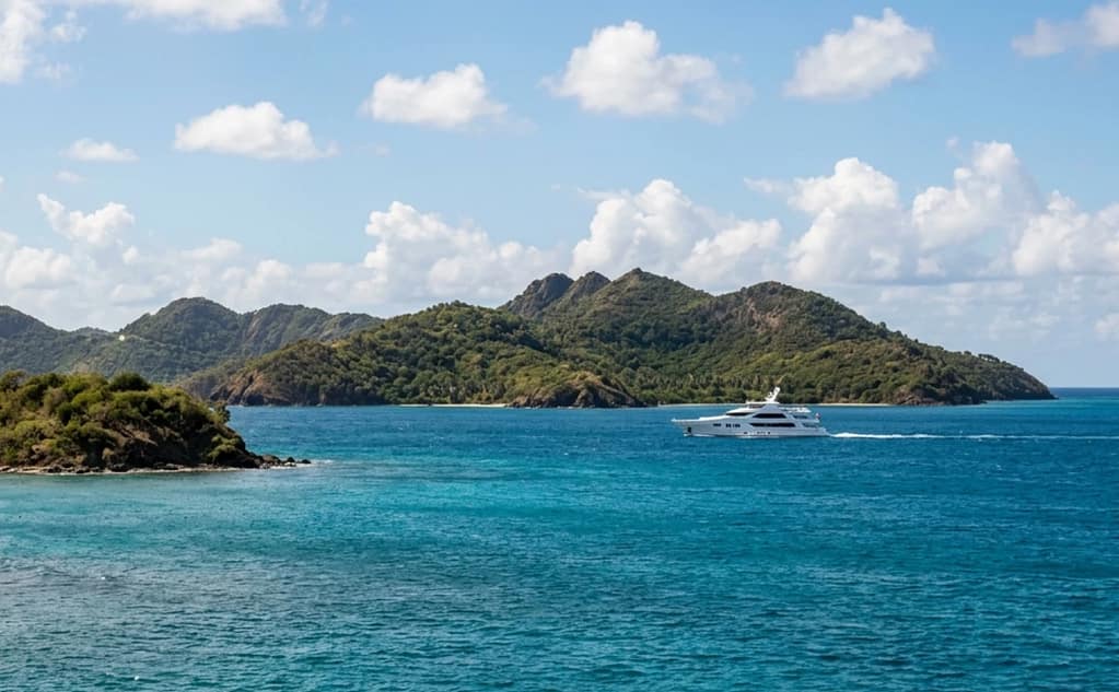 ocean alexander market report may 2026